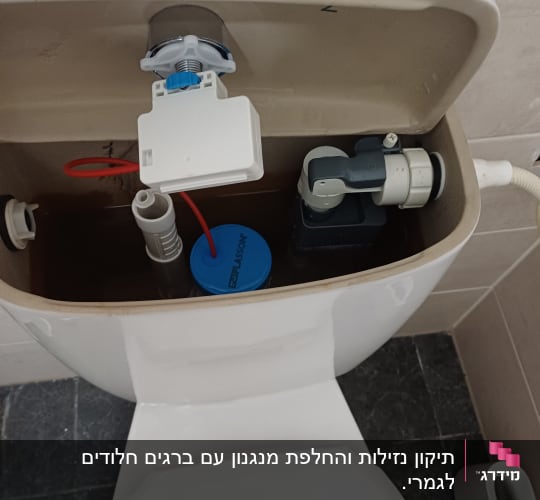 מיכל שירותים פתוח עם חלקים פנימיים גלויים